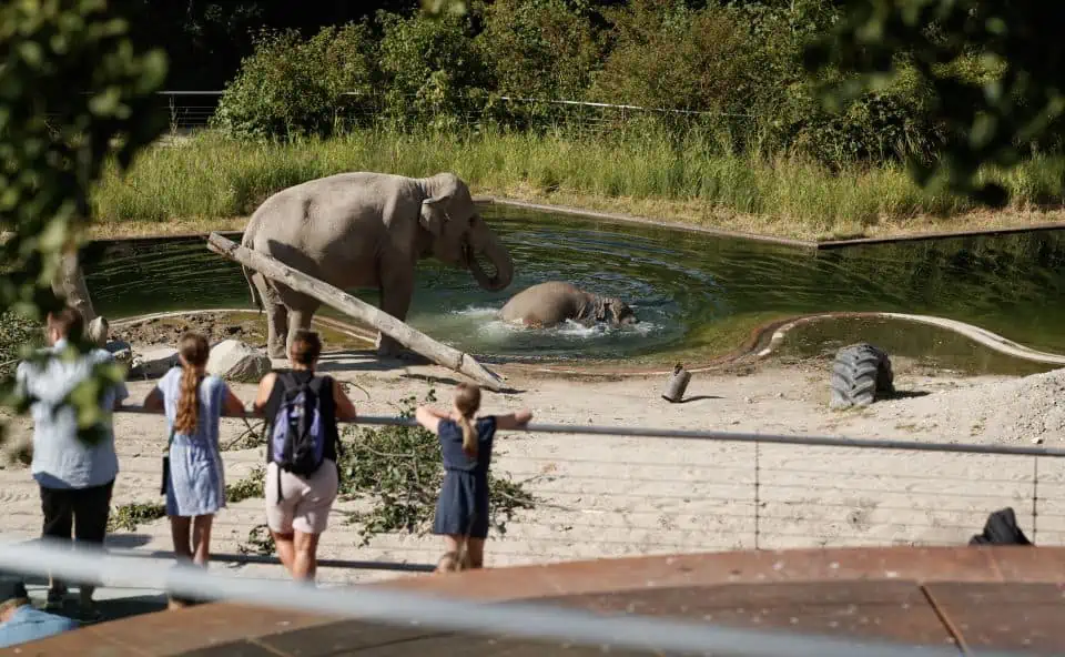 Copenhagen Zoo