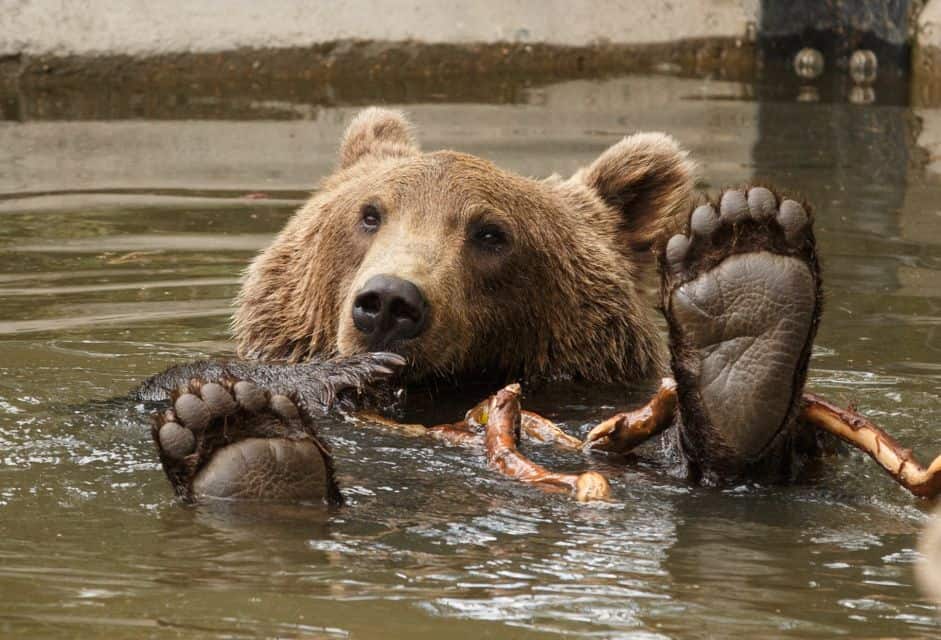 Copenhagen Zoo