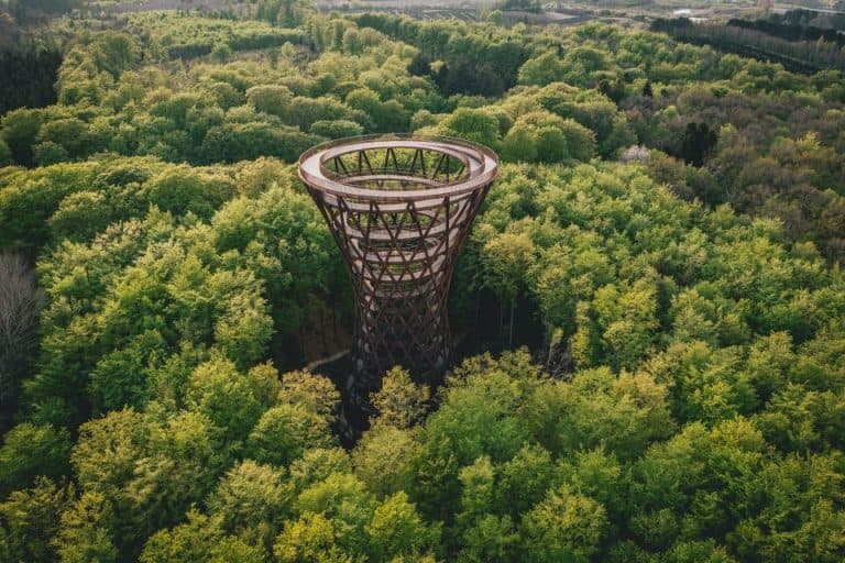 Forest Tower