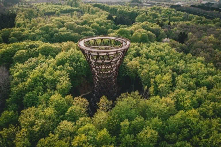 Forest Tower