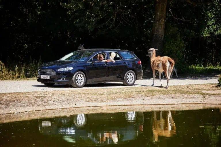 Billund: Givskud Zoo